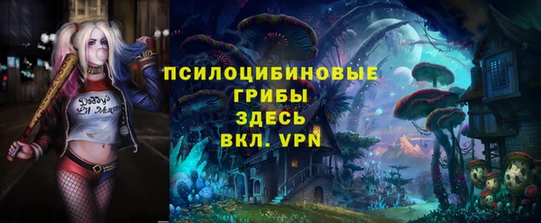 МДМА Алексеевка