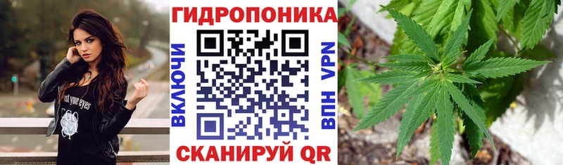 omg зеркало  Темрюк  Конопля Amnesia  продажа наркотиков 